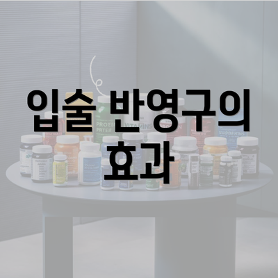 입술 반영구의 효과