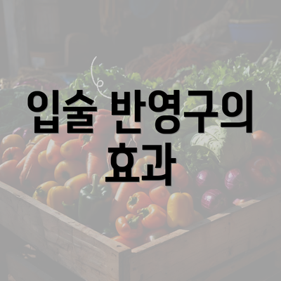 입술 반영구의 효과