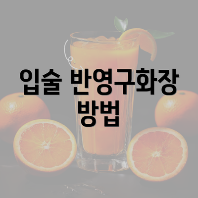 입술 반영구화장 방법