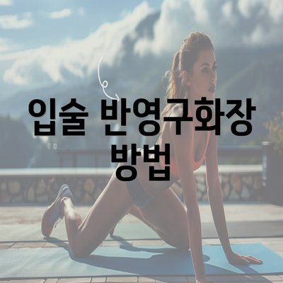 입술 반영구화장 방법