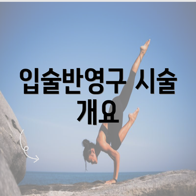 입술반영구 시술 개요