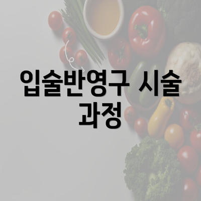 입술반영구 시술 과정