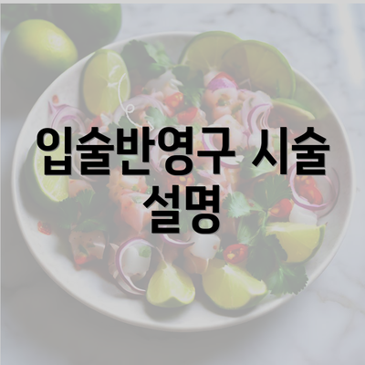 입술반영구 시술 설명