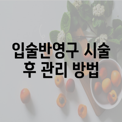 입술반영구 시술 후 관리 방법