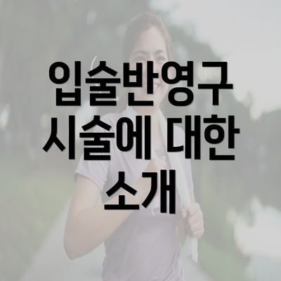 입술반영구 시술에 대한 소개