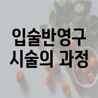 입술반영구 시술의 과정