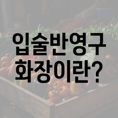 입술반영구 화장이란?