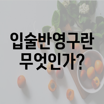 입술반영구란 무엇인가?