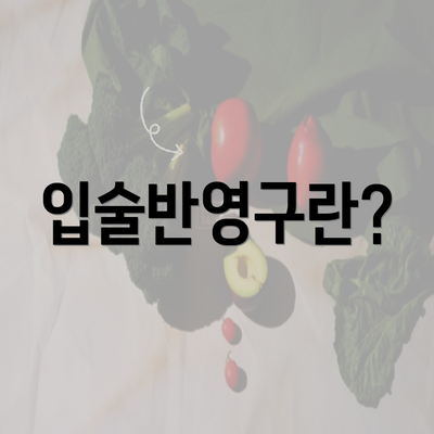 입술반영구란?