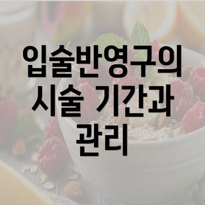 입술반영구의 시술 기간과 관리