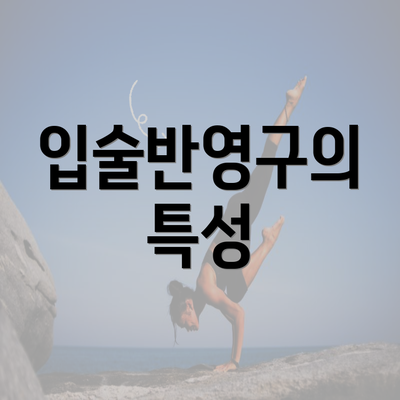 입술반영구의 특성