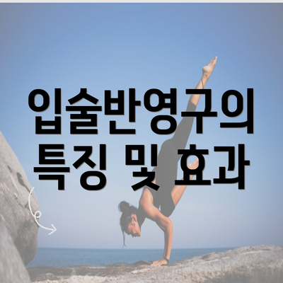 입술반영구의 특징 및 효과