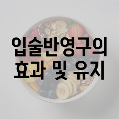 입술반영구의 효과 및 유지