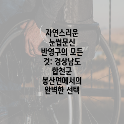 자연스러운 눈썹문신 반영구의 모든 것: 경상남도 합천군 봉산면에서의 완벽한 선택