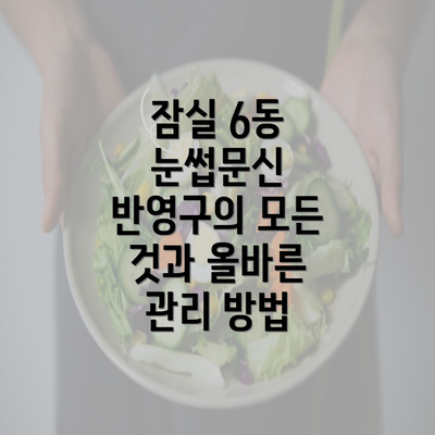 잠실 6동 눈썹문신 반영구의 모든 것과 올바른 관리 방법