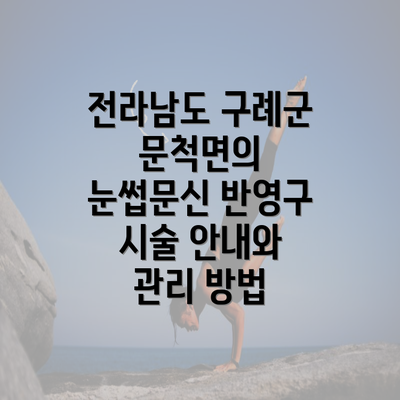 전라남도 구례군 문척면의 눈썹문신 반영구 시술 안내와 관리 방법