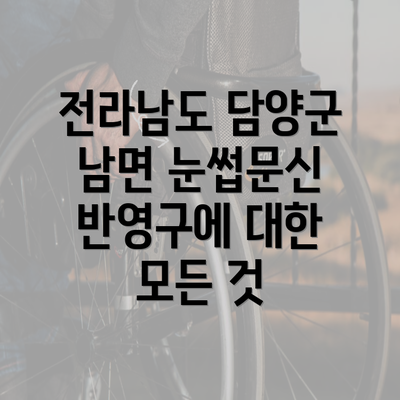 전라남도 담양군 남면 눈썹문신 반영구에 대한 모든 것