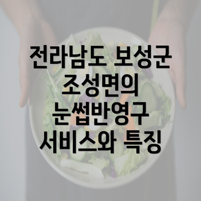 전라남도 보성군 조성면의 눈썹반영구 서비스와 특징