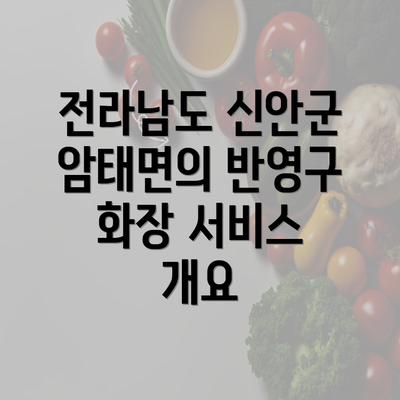 전라남도 신안군 암태면의 반영구 화장 서비스 개요