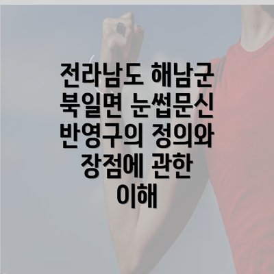 전라남도 해남군 북일면 눈썹문신 반영구의 정의와 장점에 관한 이해