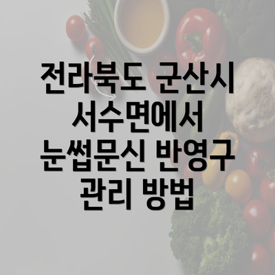 전라북도 군산시 서수면에서 눈썹문신 반영구 관리 방법