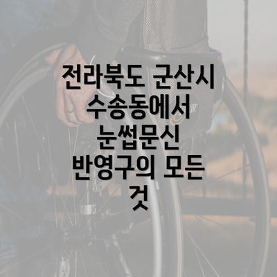 전라북도 군산시 수송동에서 눈썹문신 반영구의 모든 것