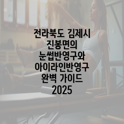 전라북도 김제시 진봉면의 눈썹반영구와 아이라인반영구 완벽 가이드 2025