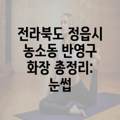 전라북도 정읍시 농소동 반영구 화장 총정리: 눈썹