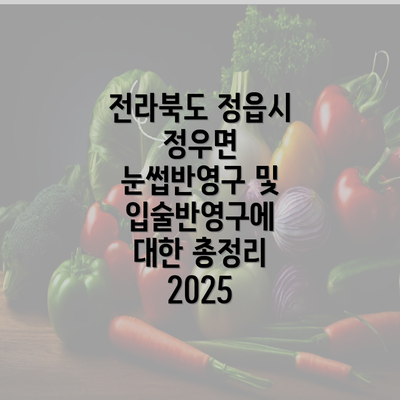 전라북도 정읍시 정우면 눈썹반영구 및 입술반영구에 대한 총정리 2025