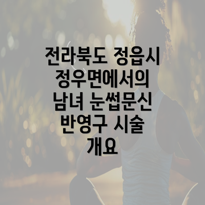 전라북도 정읍시 정우면에서의 남녀 눈썹문신 반영구 시술 개요