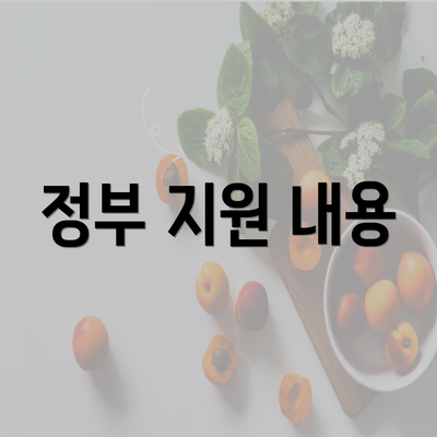 정부 지원 내용