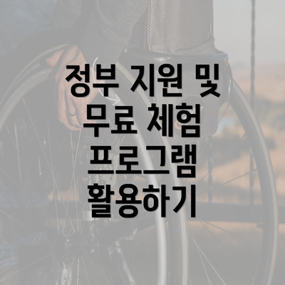 정부 지원 및 무료 체험 프로그램 활용하기