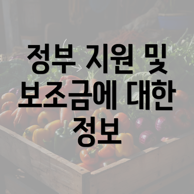 정부 지원 및 보조금에 대한 정보