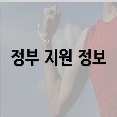 정부 지원 정보