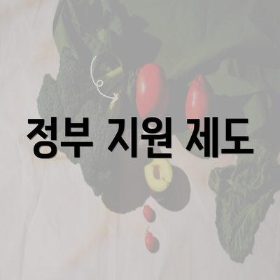 정부 지원 제도