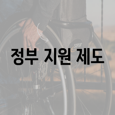 정부 지원 제도