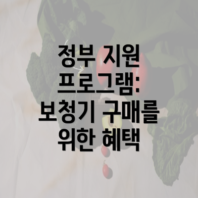 정부 지원 프로그램: 보청기 구매를 위한 혜택