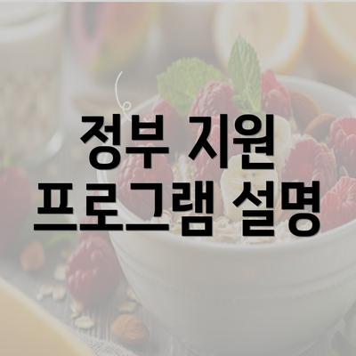 정부 지원 프로그램 설명