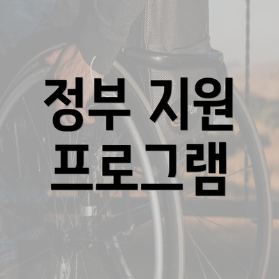 정부 지원 프로그램