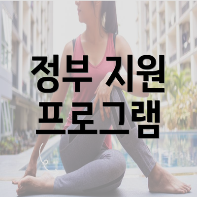 정부 지원 프로그램