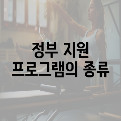 정부 지원 프로그램의 종류