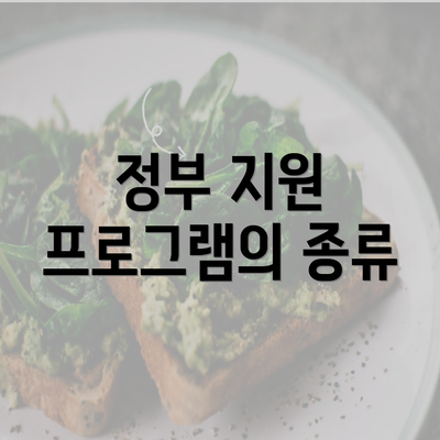 정부 지원 프로그램의 종류