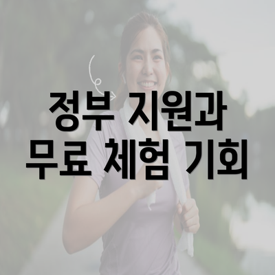 정부 지원과 무료 체험 기회