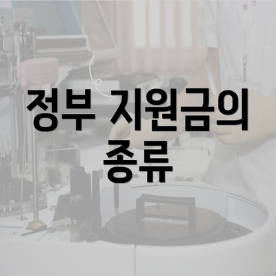 정부 지원금의 종류