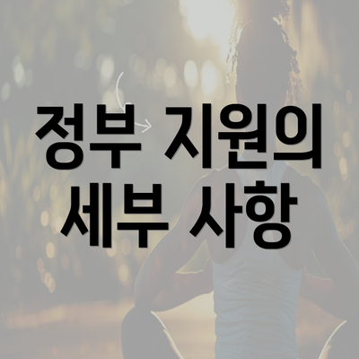 정부 지원의 세부 사항