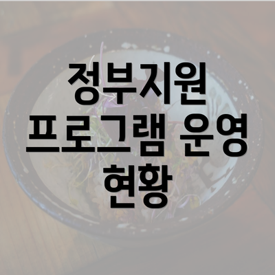 정부지원 프로그램 운영 현황