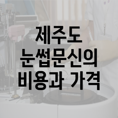 제주도 눈썹문신의 비용과 가격