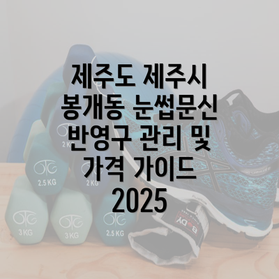 제주도 제주시 봉개동 눈썹문신 반영구 관리 및 가격 가이드 2025