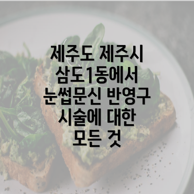 제주도 제주시 삼도1동에서 눈썹문신 반영구 시술에 대한 모든 것