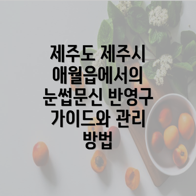 제주도 제주시 애월읍에서의 눈썹문신 반영구 가이드와 관리 방법